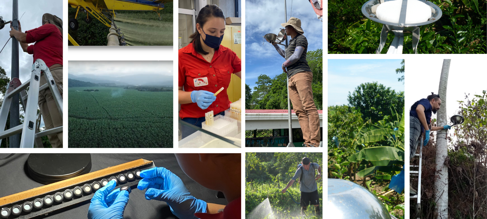 Salud y exposición ambiental